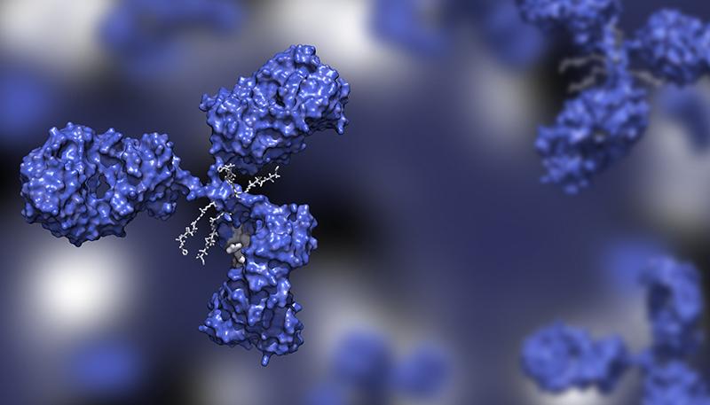 Antibody drug conjugate in blue with four drug compounds linked to IgG immunoglobulin; ADC in blue against blue background 3d render